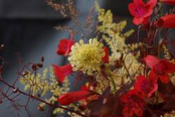 Flowers by Pamela Adams